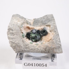 ����ӥ��� ��Ƽ�ۡʥ�٥��ʥ��ȡ�