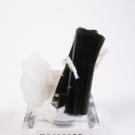 Stak Nala�� �ȥ�ޥ�󡢥��꡼�֥�������