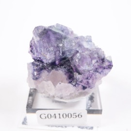 ��������ɻ� �ե����饤��