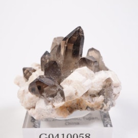 ʡ���� ���⡼������������