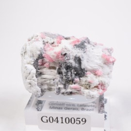 Morro da Mina�ۻ��� �����ɥʥ��ȡ����ߥ󥰥ȥ���