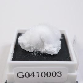 ����ɻ� �����ʥ���