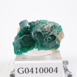 ���󥴶��¹� �������ץơ���