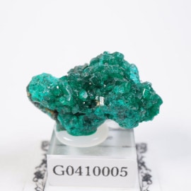 ���󥴶��¹� �������ץơ���