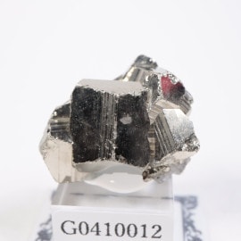 ����ɥͥ����� �ѥ��饤��