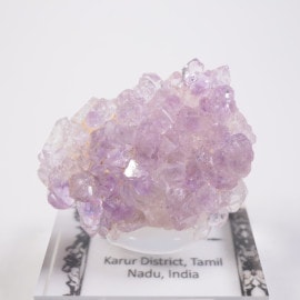 ����ɻ� ���᥷����