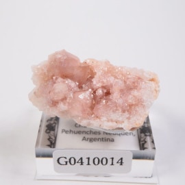 Choique�ۻ� �ԥ󥯥�������