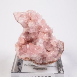 Choique�ۻ� �ԥ󥯥�������