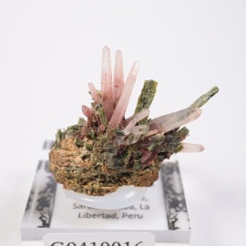 �ڥ롼�� ��åɥ�������