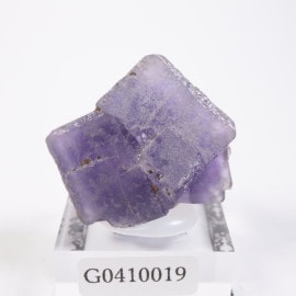 �����ȥ��ꥢ���� �ե����饤��