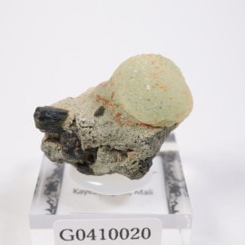 �ޥ껺 �ץ�ʥ���