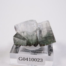 ����ɻ� ���ݥե��饤��