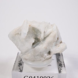 �����ȥ��ꥢ���� �Х饤��