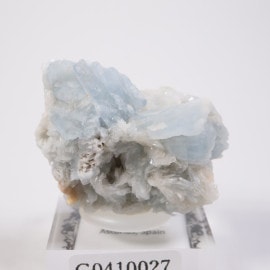 �����ȥ��ꥢ���� �Х饤��