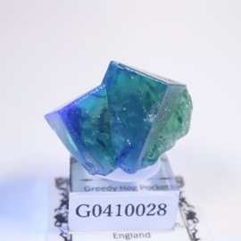 Greedy Hog Pocket�� �ե����饤��