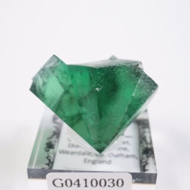 Greedy Hog Pocket�� �ե����饤��