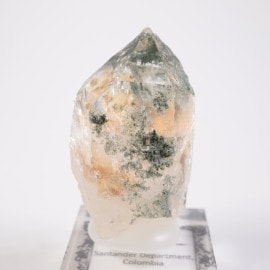 ������ӥ��� ��������