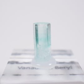 �ʥ������ꥢ�� �Хʥ�����٥��