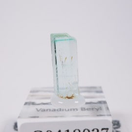 �ʥ������ꥢ�� �Хʥ�����٥��