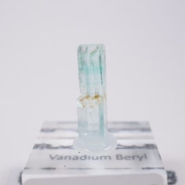 �ʥ������ꥢ�� �Хʥ�����٥��