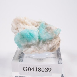 ������ɽ� ���ޥ��ʥ���