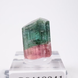 Morro Redondo�ۻ��� �ȥ�ޥ��