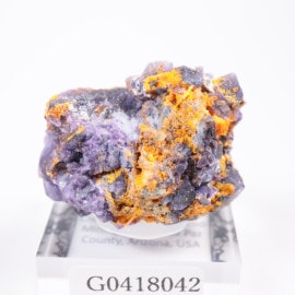 ���꥾�ʽ� ����ե��ʥ��ȡ��ե����饤��