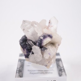 ����ɻ� �������ġ��ե����饤��