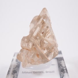 �֥饸�뻺 ��������