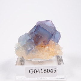 �˥塼�ᥭ�������� �ե����饤��