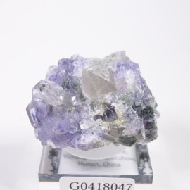 �䥪���󥷥��ۻ� �ե����饤��