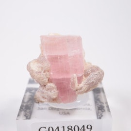 ����ե���˥����� �ȥ�ޥ��