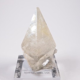 Linwood�ۻ� ���륵���ȡ��ޡ���������