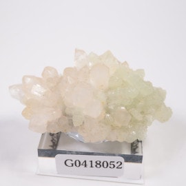 ����å��� �ץ�ʥ���