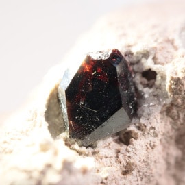 �ͥХ����� ����ޥ�ǥ��󥬡��ͥå�