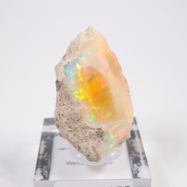 �������ԥ��� ���ѡ���