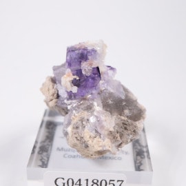 �ᥭ������ �ե����饤��