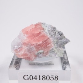 ��� �����ɥ���������