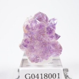 ����ɻ� ���᥷����