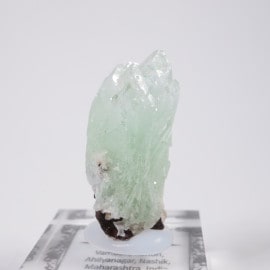 ����ɻ� ���ݥե��饤��