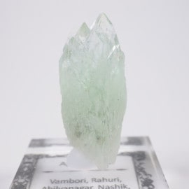 ����ɻ� ���ݥե��饤��