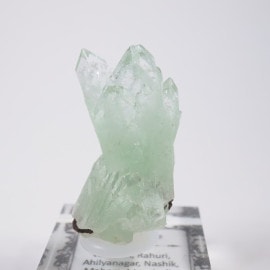 ����ɻ� ���ݥե��饤��