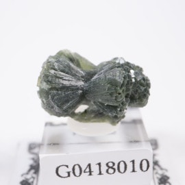 ����å��� �ץ�ʥ���