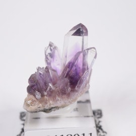 �ᥭ������ ���᥷����