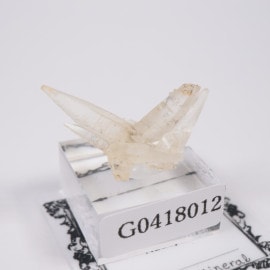 ����ɻ� ���륵����