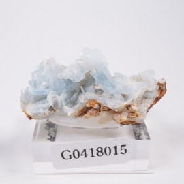 ���ڥ��� �Х饤��