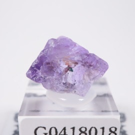 Ojuela�ۻ� �ե����饤��