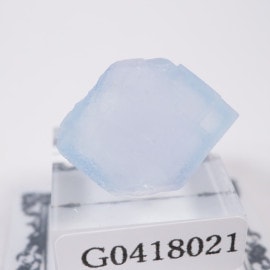 �˥塼�ᥭ������ �ե����饤��