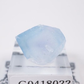 �˥塼�ᥭ������ �ե����饤��