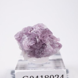 ����ե���˥����� ��ԥɥ饤��